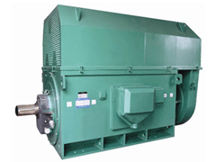 200KWY系列6KV高压电机